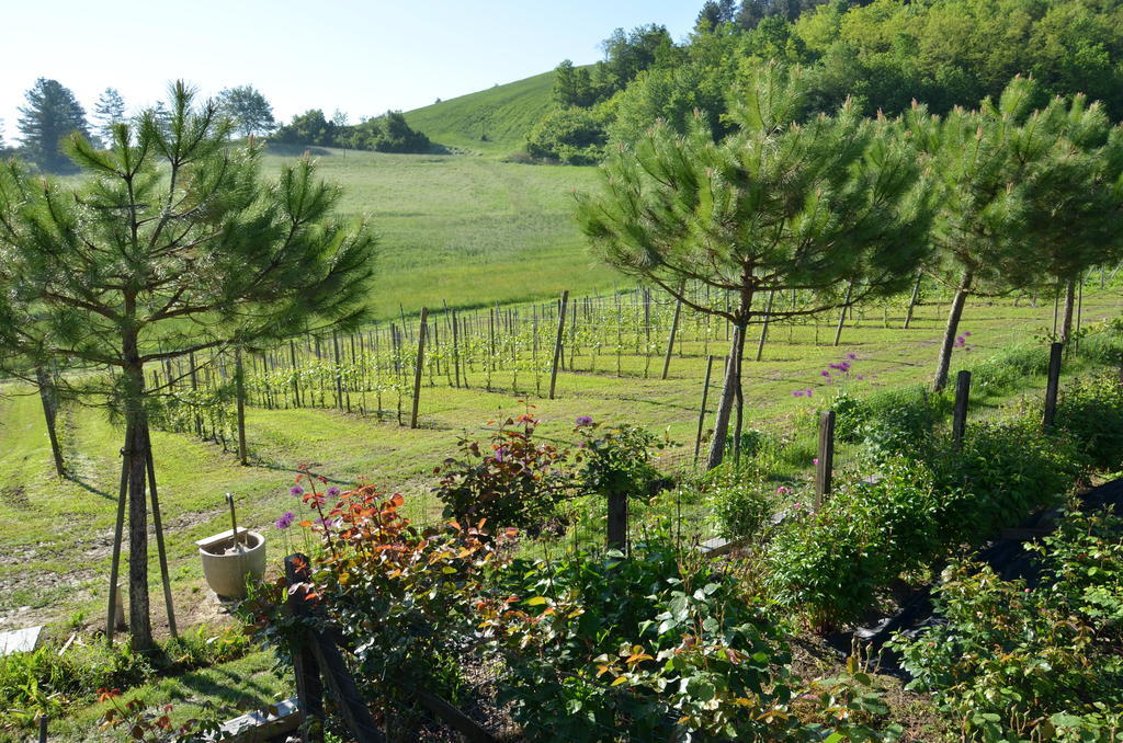 Cascina Castagneto Hotel Castell'Alfero ภายนอก รูปภาพ