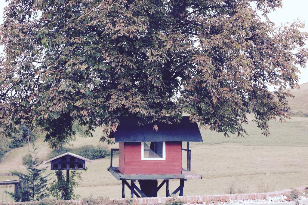 Cascina Castagneto Hotel Castell'Alfero ภายนอก รูปภาพ