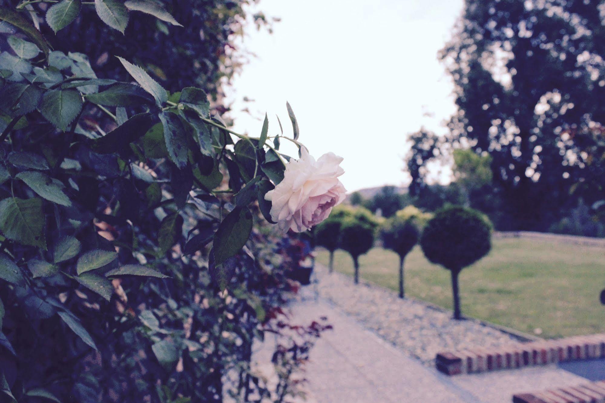 Cascina Castagneto Hotel Castell'Alfero ภายนอก รูปภาพ